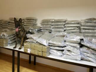 Rauschgiftspürhund neben sichergestelltem Marihuana