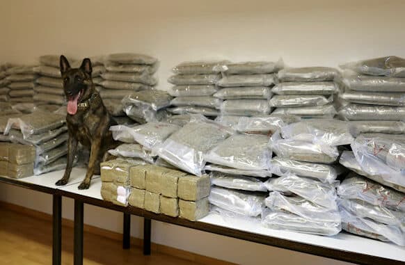 Rauschgiftspürhund neben sichergestelltem Marihuana