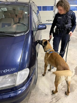 Zollhund erschnüffelt Zigaretten
