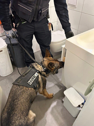 Einsatz eines Bargeldspürhundes bei Wohnungsdurchsuchung