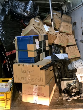 Kartons mit lebenden Tieren auf Ladefläche des Kleintransporters