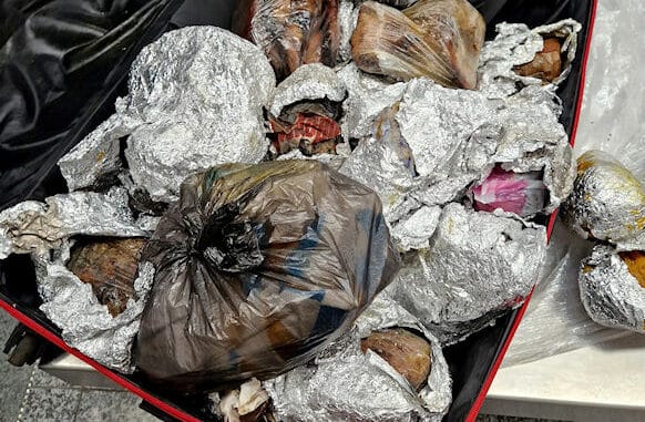 Koffer mit ungekühlten Fleisch- und Fischprodukten