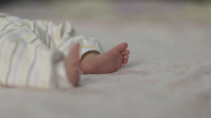 Baby Birth Life Legs Newborn  - mostafa_meraji / Pixabay