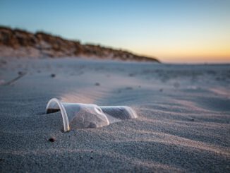 Beach Sand Plastic Garbage  - Hamsterfreund / Pixabay