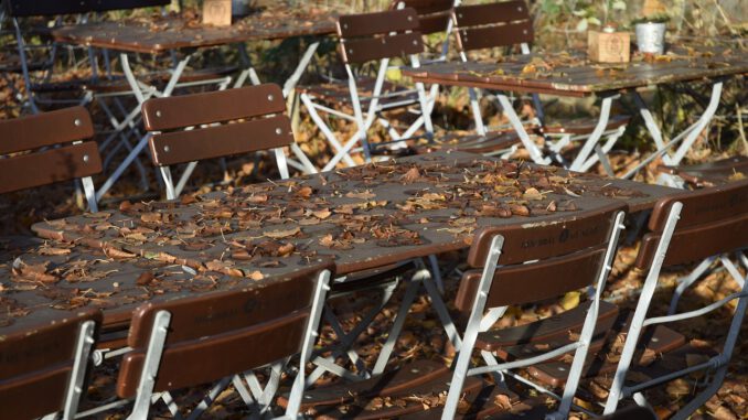 Beer Garden Autumn Leaves Table  - Reginal / Pixabay