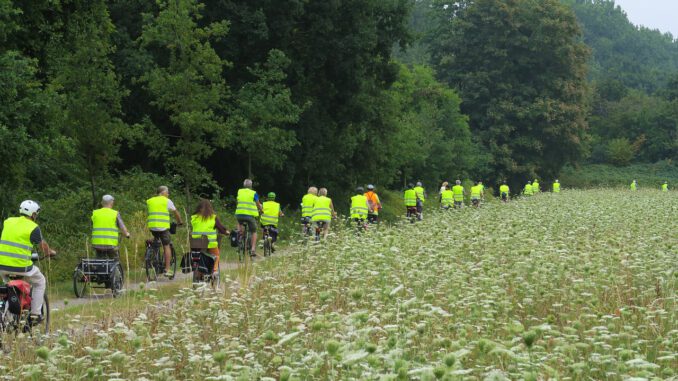 Bicycle Bike Tour Cycling Tour  - Derks24 / Pixabay