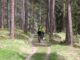 Bike Nature Forest Woods Outdoor  - lenahelfinger / Pixabay