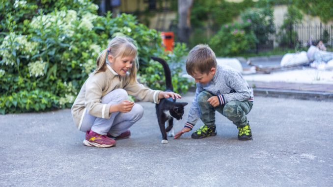 Cat Kids Smiles Joy Love Cat Kids Smiles Joy Love - LuidmilaKot / Pixabay