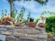 Cats Felines Pets Eyes Wall Stone  - enriquelopezgarre / Pixabay