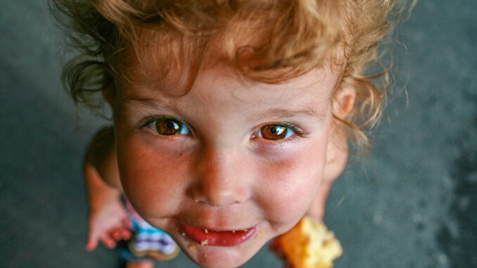 Child Eyes Girl Food Portrait Child Eyes Girl Food Portrait - geertwillemarck / Pixabay