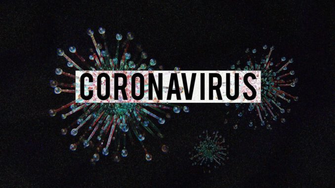 Coronavirus Coronavirus Covid   - olgalionart / Pixabay