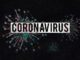 Coronavirus Coronavirus Covid   - olgalionart / Pixabay