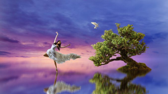 Dancer Ballet Tree Dove Reflection - ImaArtist / Pixabay