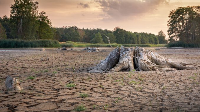 Dryness Drought Cracks Dry  - Seaq68 / Pixabay