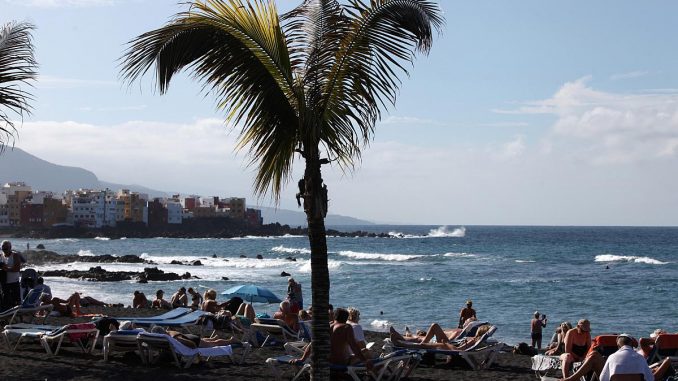 Palme an einem Strand, über dts Nachrichtenagentur