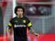 Axel Witsel (BVB), über dts Nachrichtenagentur