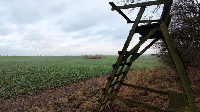 Jägersitz, über dts Nachrichtenagentur