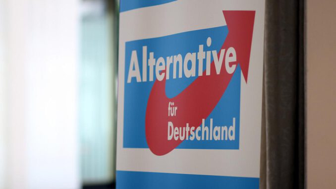 Alternative für Deutschland (AfD), über dts Nachrichtenagentur