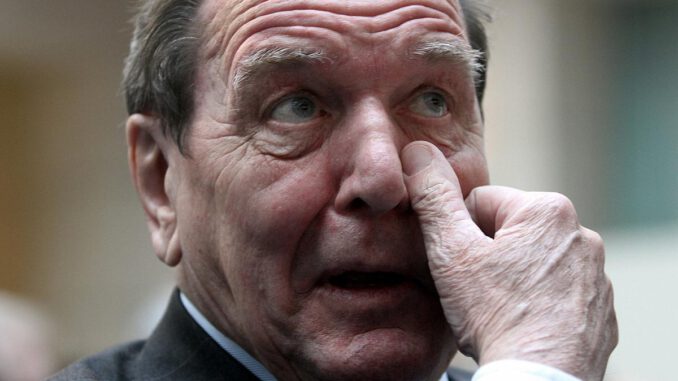 Gerhard Schröder, über dts Nachrichtenagentur