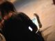 Computer-Nutzerin auf Facebook, über dts Nachrichtenagentur