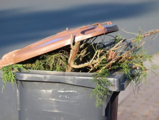 Dustbin Green Cut Brown Ton Waste  - manfredrichter / Pixabay
