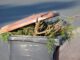 Dustbin Green Cut Brown Ton Waste  - manfredrichter / Pixabay