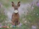 Easter Hare Mask Ffp Face Mask  - Alexandra_Koch / Pixabay
