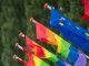 Flags Rainbow Flag Europe Pride  - Sasel13 / Pixabay