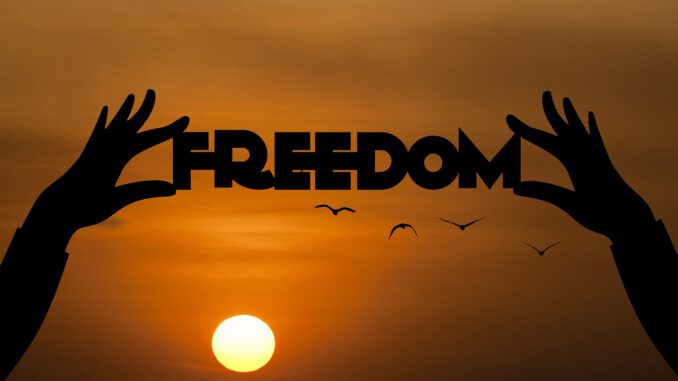 Freedom Sunset Dusk Silhouette  - mohamed_hassan / Pixabay