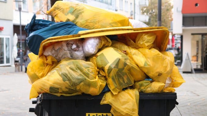 Garbage Garbage Disposal Dumpster  - planet_fox / Pixabay