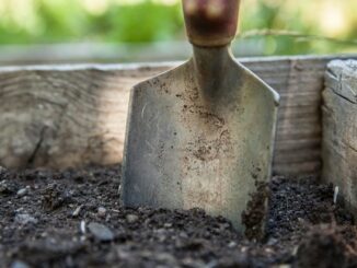 ++ Ankündigung | Ökotipp-Reihe Naturnahes Gärtnern: Weniger tun, mehr lassen ++