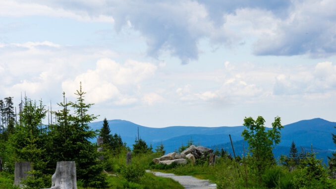 Germany Bayerischer Wald  - JBi-Weisendorf / Pixabay