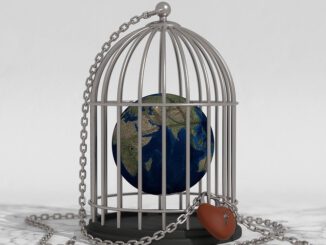 Lockdown Global Coronavirus  - priyampatel4 / Pixabay