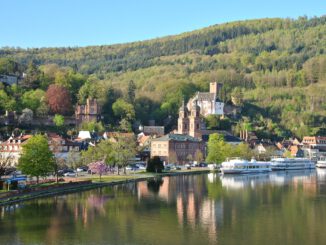Miltenberg Mildenburg Shipping Main  - Mannischeu / Pixabay