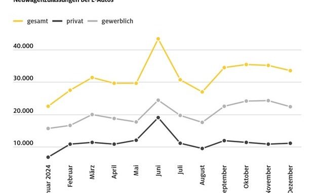Fortdauernde Unsicherheiten hemmen E-Auto-Hochlauf / Bezahlbare Ladepreise, günstige ...