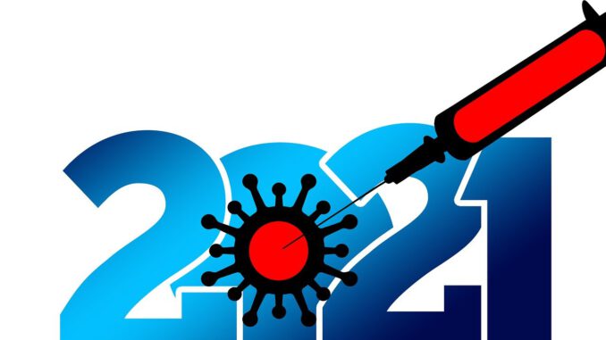 New Year  Syringe Vaccine  - geralt / Pixabay