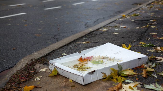 Pizza Carton Weather Garbage Paper  - Jasmin_Sessler / Pixabay