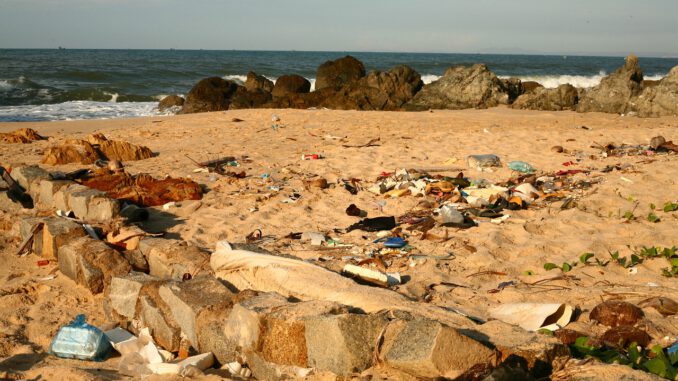 Plastic Ocean Pollution Garbage  - sergeitokmakov / Pixabay
