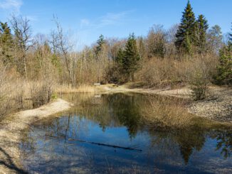 Pond Pools Bench Waters Water  - marcelkessler / Pixabay