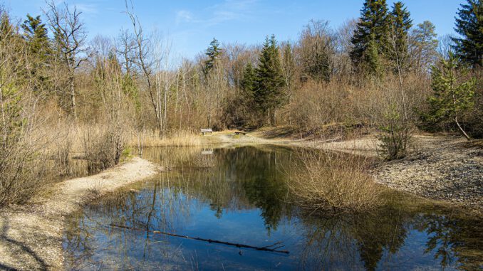 Pond Pools Bench Waters Water Pond Pools Bench Waters Water - marcelkessler / Pixabay