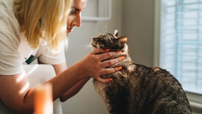 woman in white shirt holding brown tabby cat