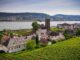 R%c%bcdesheim Town River Panorama  - Jonny_Joka / Pixabay