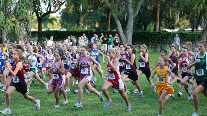 Running Race Running Race Sport  - alex4663 / Pixabay