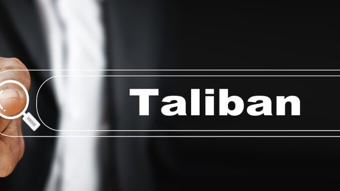 Search Bar Browser Internet Taliban  - geralt / Pixabay