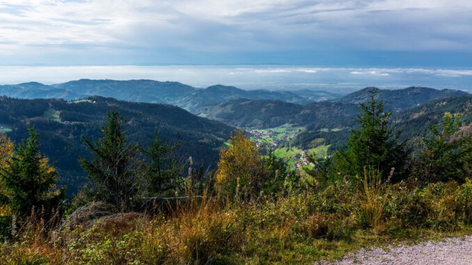 Seebach Black Forest Seebach Black Forest - WaldWeitWeb / Pixabay