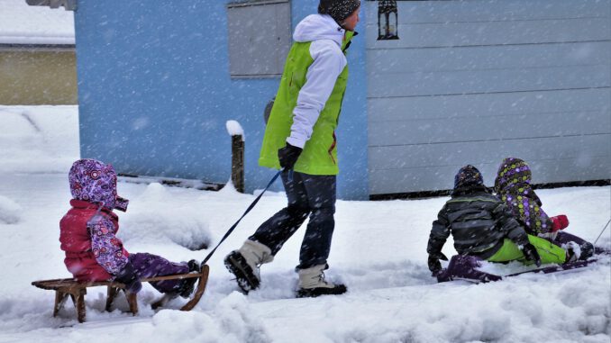 Snowy Frost Frosty Sled Weather  - pasja1000 / Pixabay