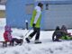 Snowy Frost Frosty Sled Weather  - pasja1000 / Pixabay