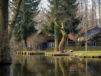 Spreewald River Town Trees  - ThomasWolter / Pixabay