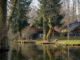 Spreewald River Town Trees  - ThomasWolter / Pixabay