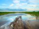 Swamp Field Landscape Puddle Water  - Dmitry_Bukhantsov / Pixabay